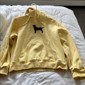 Black dog yellow sweatshirt